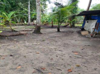Residential Land for SaleAlleppey, Ambalapuzha, Purakkad