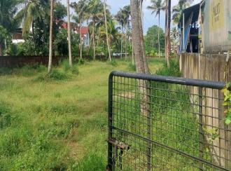 Commercial Land for Sale in Alleppey, Aroor, Panavally
