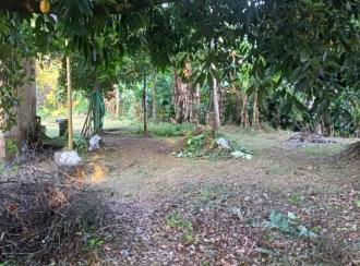 Residential Land for Sale in Alleppey, Chengannur, Chengannur town, Behind Railway Station, Chengannur.