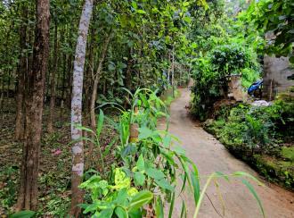 Residential Land for Sale in Pathanamthitta, Pathanamthitta, Mylapra