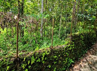 Residential Land for Sale in Pathanamthitta, Pathanamthitta, Mylapra