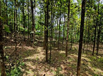 Residential Land for Sale in Pathanamthitta, Pathanamthitta, Mylapra