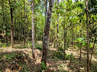 Residential Land for Sale in Pathanamthitta, Pathanamthitta, Mylapra
