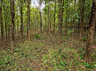 Residential Land for Sale in Pathanamthitta, Pathanamthitta, Mylapra