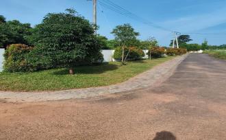 Residential Land for Sale in Kannur, Thaliparamba, Pulimparamba