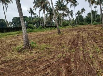 Residential Land, Thrissur