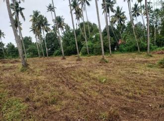 Residential Land for Sale in Thrissur, Kodakara, Nellayi
