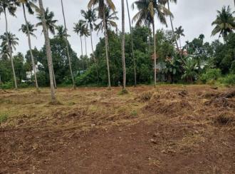 Residential Land for Sale in Thrissur, Kodakara, Nellayi