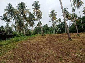 Residential Land for Sale in Thrissur, Kodakara, Nellayi