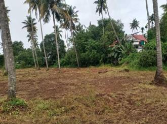 Residential Land for Sale in Thrissur, Kodakara, Nellayi