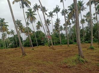 Residential Land for Sale in Thrissur, Kodakara, Nellayi