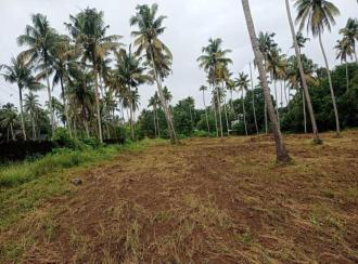 Residential Land for Sale in Thrissur, Kodakara, Nellayi
