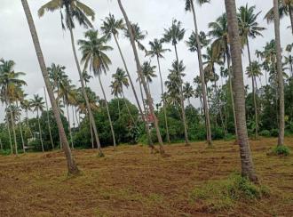 Residential Land for Sale in Thrissur, Kodakara, Nellayi
