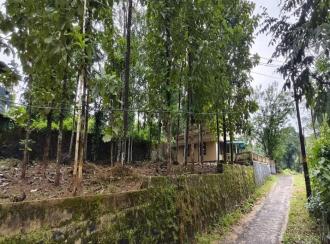 Residential House Villa for Sale in Alleppey, Chengannur, Chengannur town