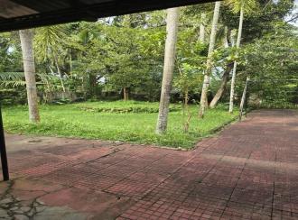 Residential Land for SaleErnakulam, Panangad, Panangad
