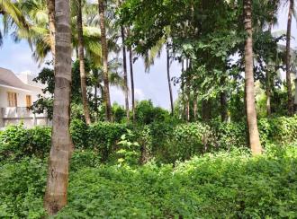 Residential Land for Sale in Palakkad, Kollengode, Kollengode