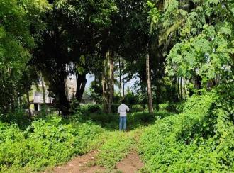 Residential Land for SalePalakkad, Kollengode, Kollengode