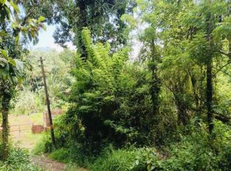 Residential Land for Sale in Kannur, Kannur, Kappad