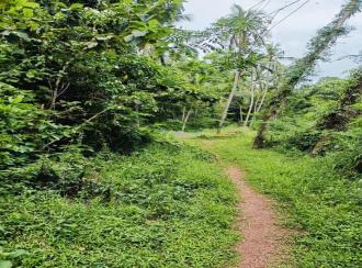 Residential Land for Sale in Kannur, Kannur, Kappad