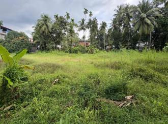 Residential Land for SaleKozhikode, Perumanna, Perumanna