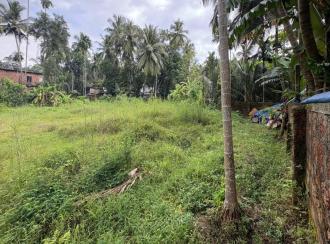 Residential Land for Sale in Kozhikode, Perumanna, Perumanna