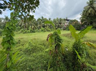 Residential Land for Sale in Kozhikode, Perumanna, Perumanna