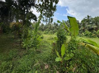 Residential Land for Sale in Kozhikode, Perumanna, Perumanna