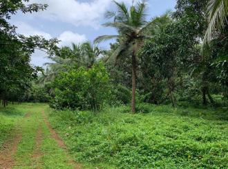 Residential Land for Sale in Thrissur, Kunnamkulam, Perumpilavu