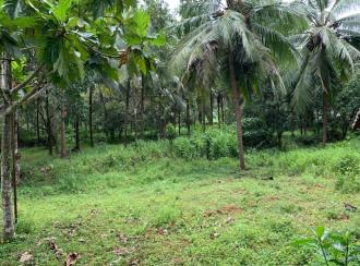 Residential Land for Sale in Thrissur, Kunnamkulam, Perumpilavu