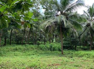 Residential Land for Sale in Thrissur, Kunnamkulam, Perumpilavu