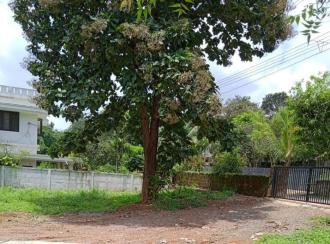 Residential Land for Sale