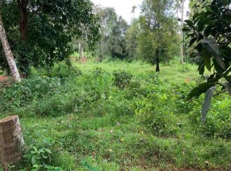 Residential Land for Sale in Thrissur, Kodakara, Vasupuram