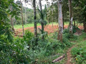 Residential Land for Sale in Thrissur, Kodakara, Vasupuram