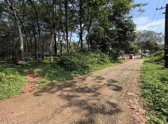 Residential Land, Pathanamthitta