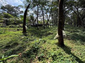 Residential Land for Sale in Pathanamthitta, Adoor, Pallickal