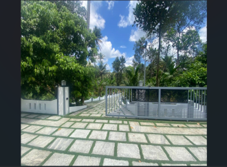 Residential House Villa for Sale in Ernakulam, Kothamangalam, Nellimattom