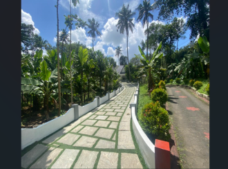 Residential House Villa for Sale in Ernakulam, Kothamangalam, Nellimattom