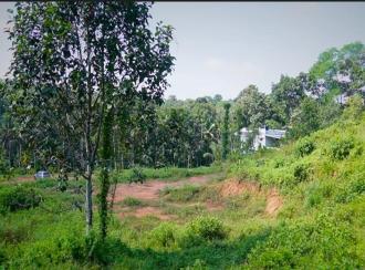 Residential Land for SaleErnakulam, Muvattupuzha, Velloorkunnam