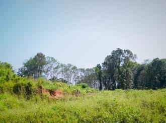 Residential Land for Sale in Ernakulam, Muvattupuzha, Velloorkunnam