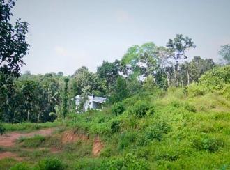 Residential Land for Sale in Ernakulam, Muvattupuzha, Velloorkunnam