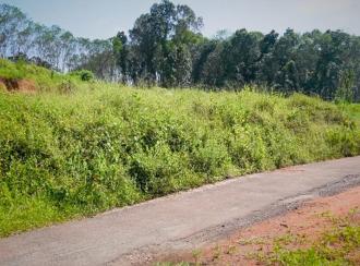 Residential Land for Sale in Ernakulam, Muvattupuzha, Velloorkunnam