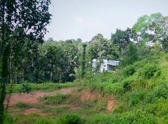 Residential Land for Sale in Ernakulam, Muvattupuzha, Velloorkunnam