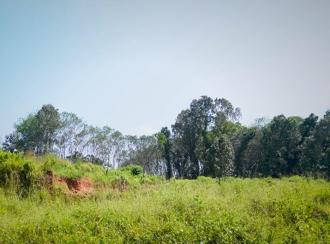 Residential Land for Sale in Ernakulam, Muvattupuzha, Velloorkunnam