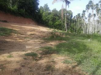 Residential Land for SaleWayanad, Sulthan bathery, Kolagappara