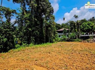 Commercial Land for Sale in Kottayam, Pala, Meenachil