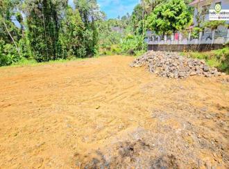 Commercial Land for Sale in Kottayam, Pala, Meenachil