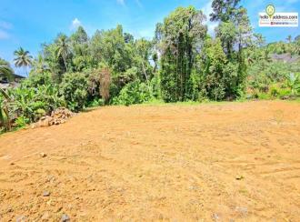 Commercial Land for Sale in Kottayam, Pala, Meenachil