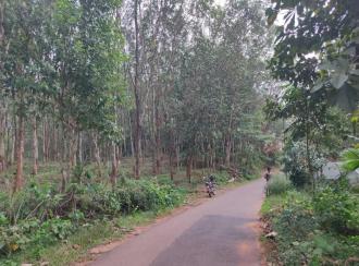 Residential Land for SaleKollam, Kottarakkara, Kunnicode