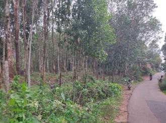 Residential Land for Sale in Kollam, Kottarakkara, Kunnicode