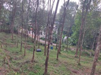 Residential Land for Sale in Kollam, Kottarakkara, Kunnicode